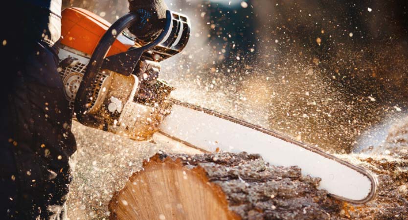 Chainsaw Concrete Saws